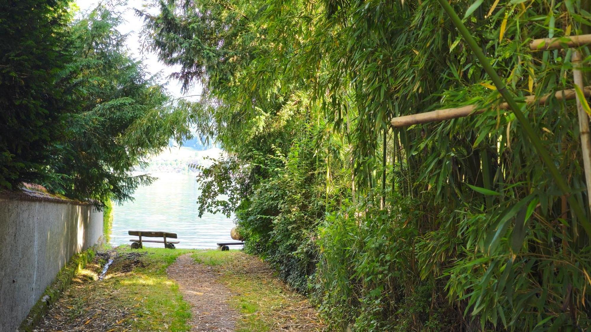 Seepanorama Ohningen Extérieur photo